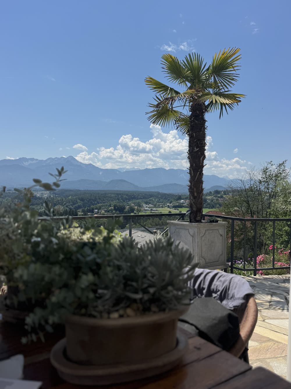 Terrasse mit Palme und weitem Blick auf Berge und Tal