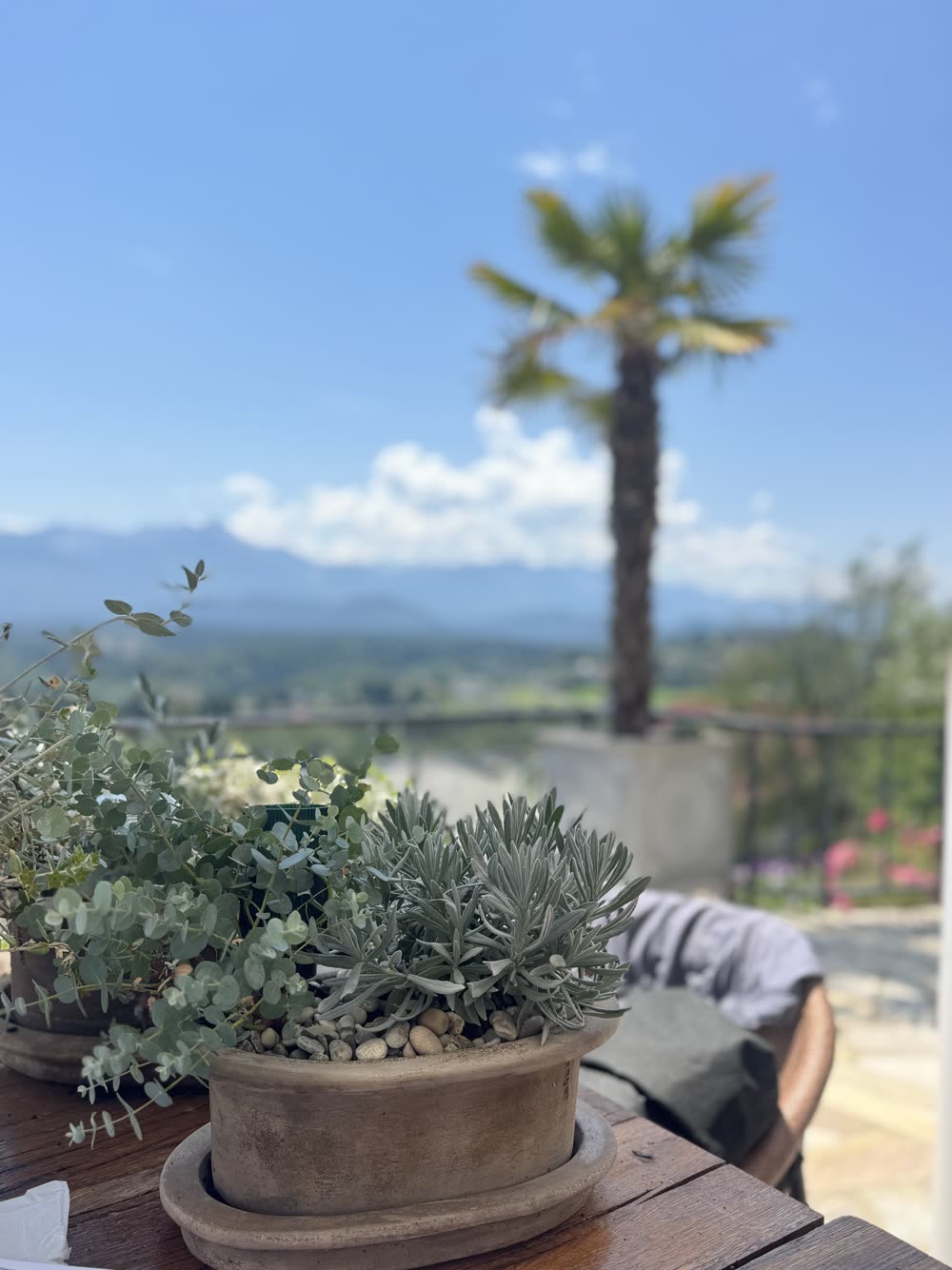 Bepflanzte Terrasse mit Bergpanorama im Hintergrund